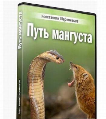 Путь мангуста. Успех благодаря страху