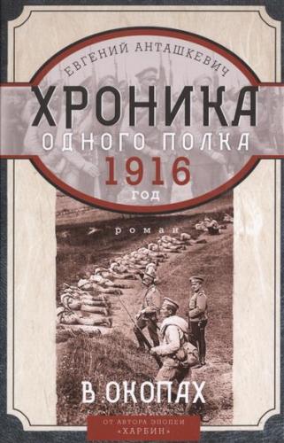 В окопах. 1916 год. Хроника одного полка