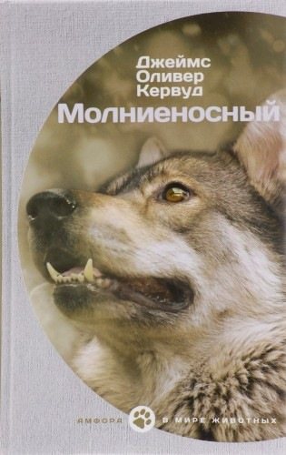 Молниеносный