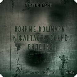 Ночные кошмары и фантастические видения. Сборник повестей и рассказов , M4B, BIGBAG