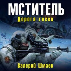 Мститель 4. Дорога гнева , Петр Коршунков]